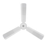 Blaze Standard Ceiling Fan with Regulator | 2-Year Warranty | 1200 mm