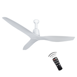 Florence BLDC Fan with RF Remote | 3-Year Warranty | 1320 mm | ABS Blades