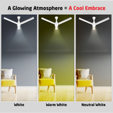 Radial Glow BLDC Ceiling Fan with 3 Mode Underlight | IR Remote | 3-Year Warranty | 1200 mm