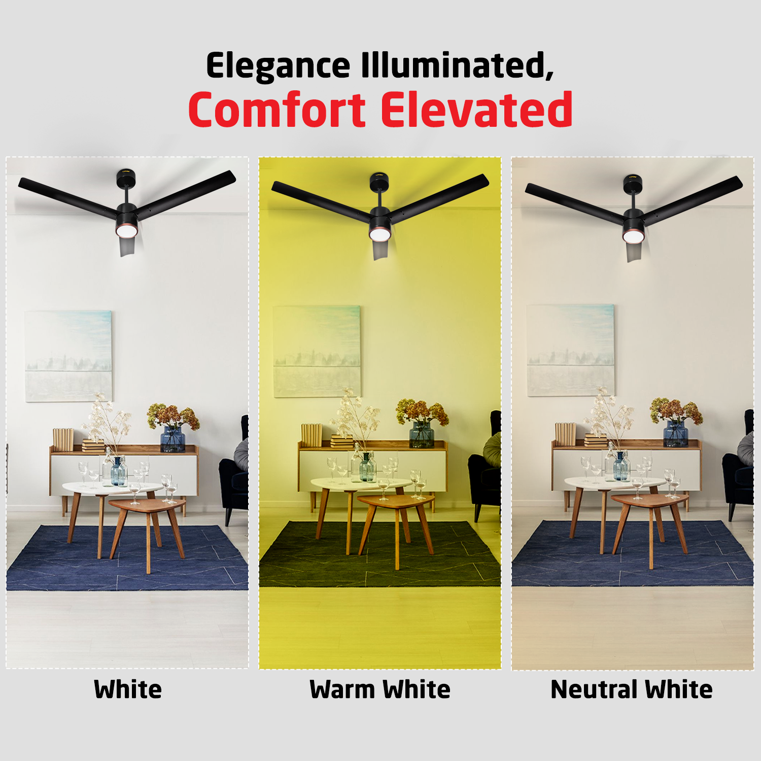 Size Zero Crown Glow BLDC Ceiling Fan with 3 Mode Underlight | IR Remote | 3-Year Warranty | 1200 mm