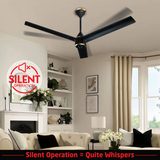 Size Zero Crown BLDC Fan with IR Remote | 3-Year Warranty | 1200 mm | White White White Chrome Finish