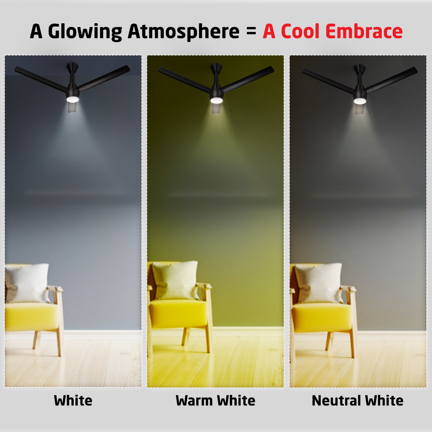 Radial Glow BLDC Ceiling Fan with 3 Mode Underlight | IR Remote | 3-Year Warranty | 1200 mm