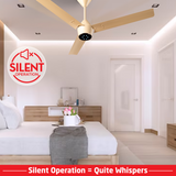 Radial BLDC Ceiling Fan with IR Remote | 3-Year Warranty | 1200 mm