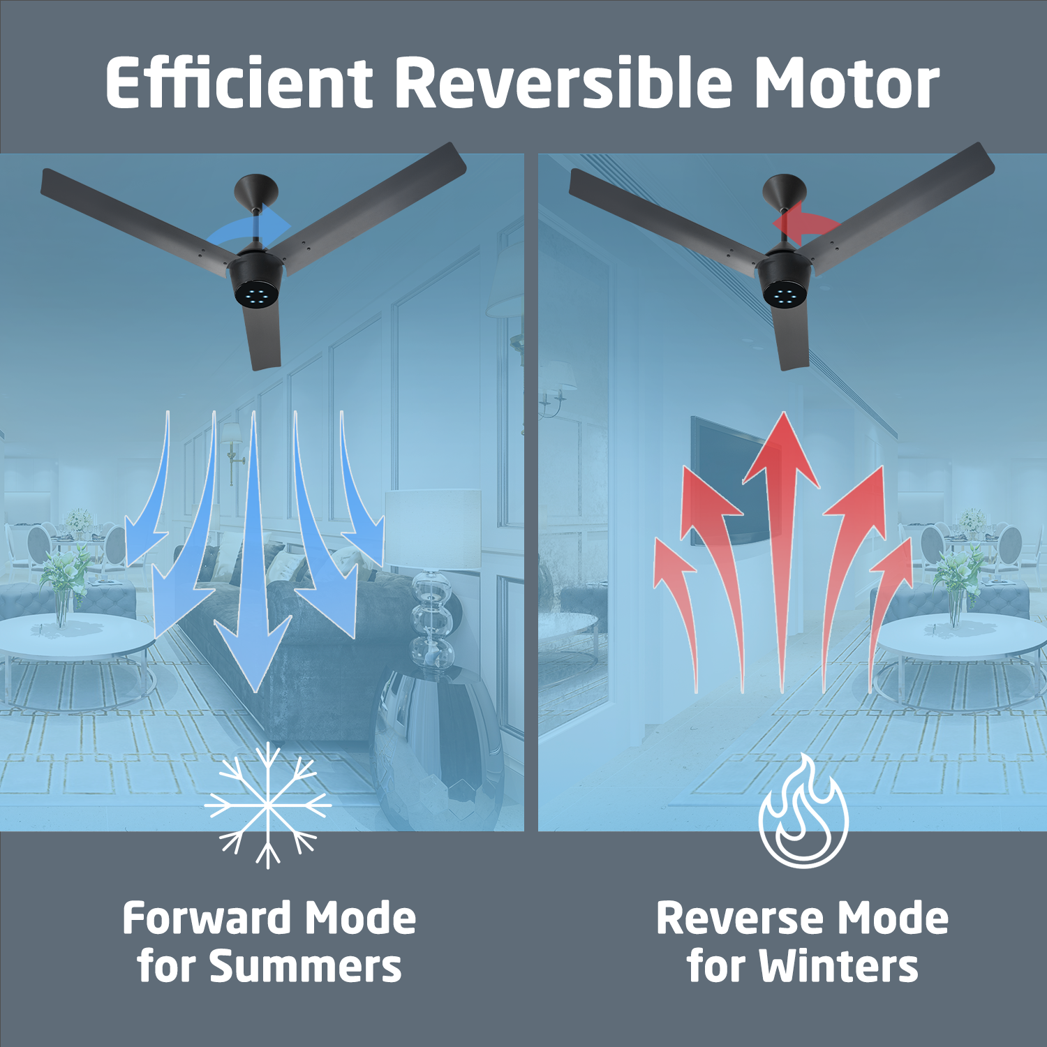 Radial BLDC Ceiling Fan with IR Remote | 3-Year Warranty | 1200 mm