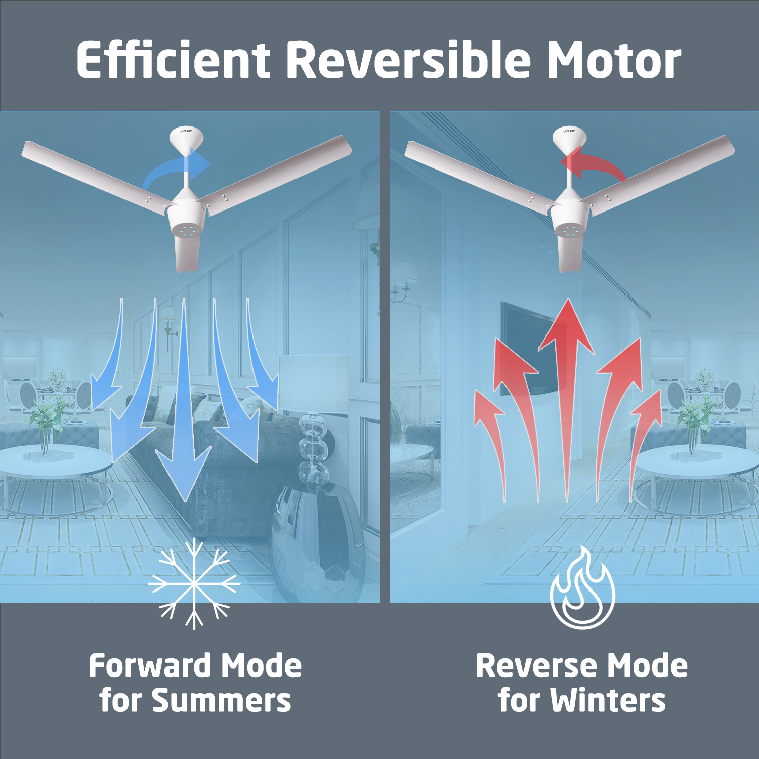 Radial BLDC Ceiling Fan with IR Remote | 3-Year Warranty | 1200 mm