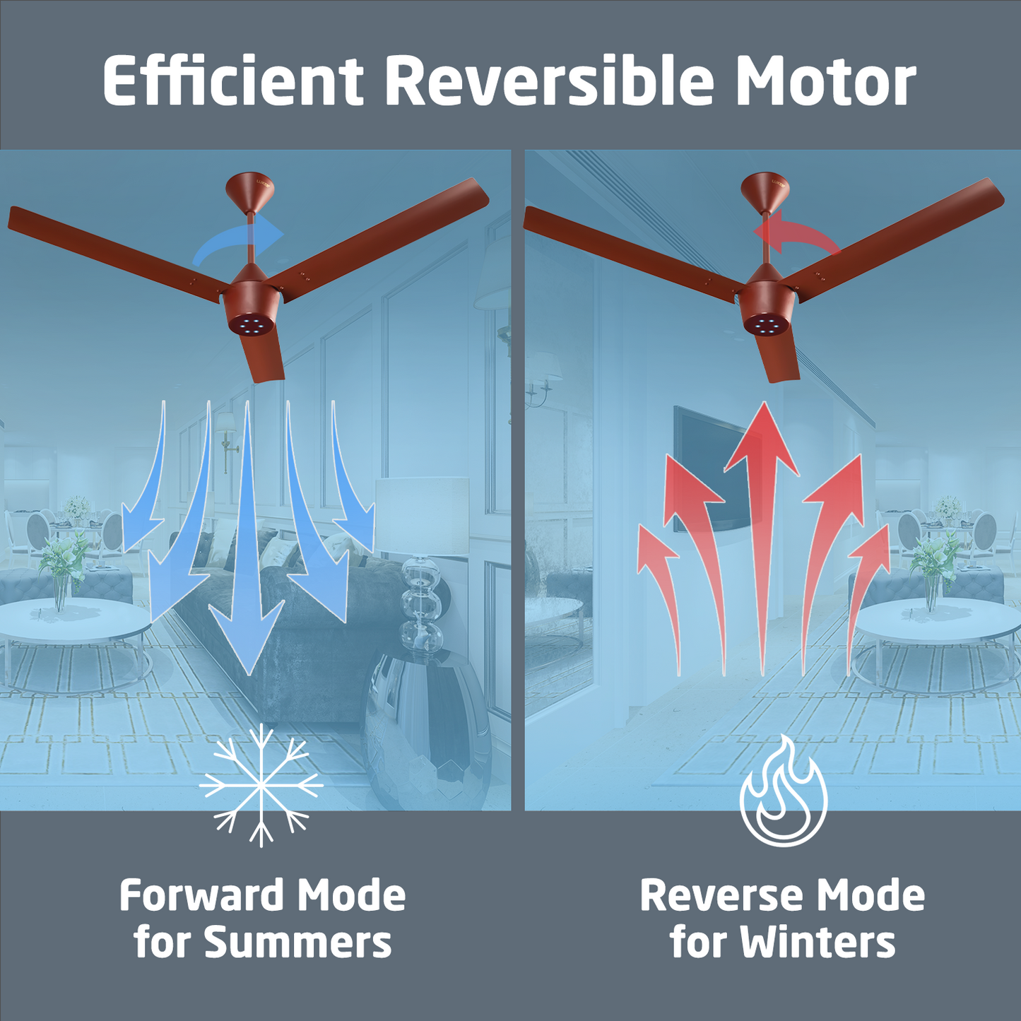 Radial BLDC Ceiling Fan with IR Remote | 3-Year Warranty | 1200 mm