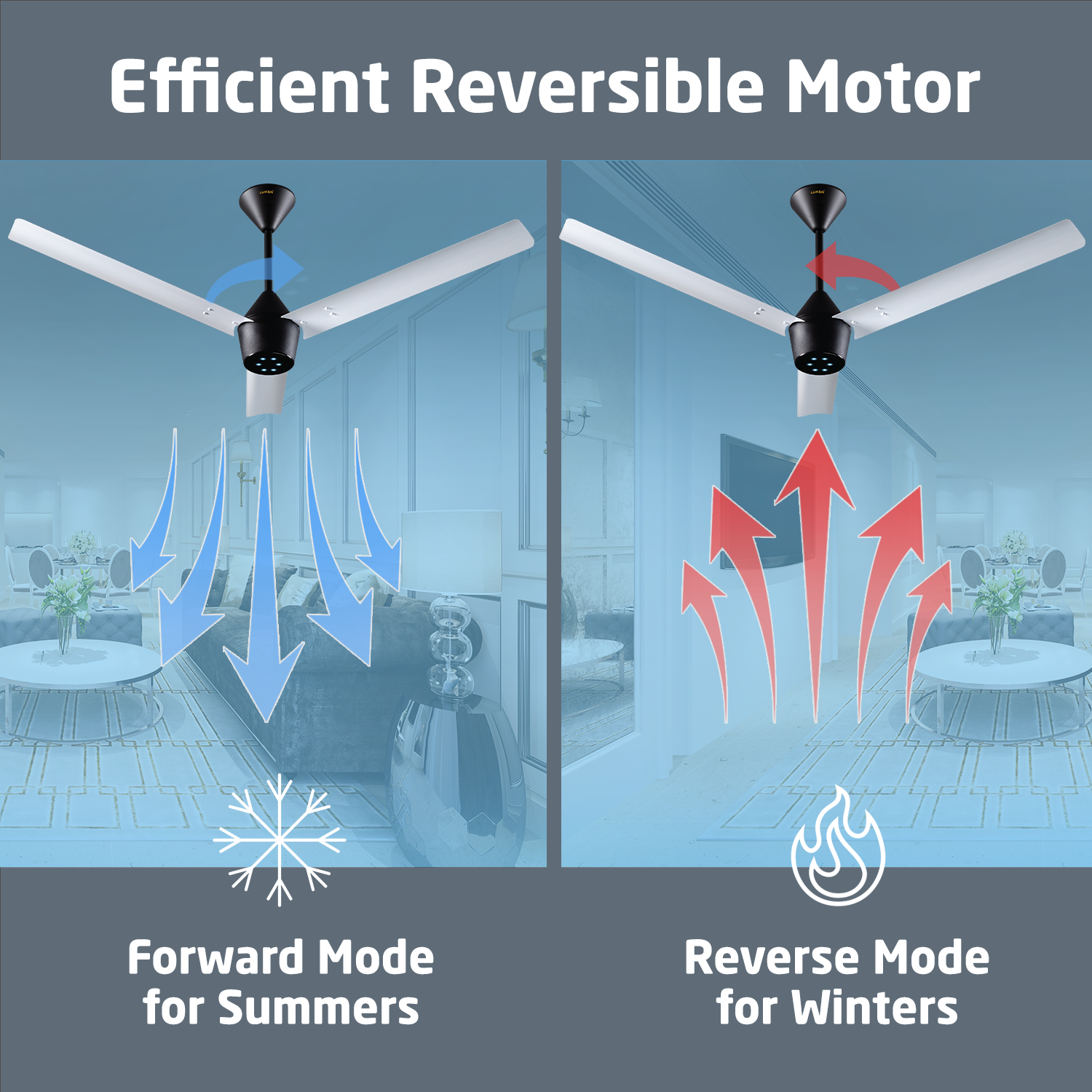 Radial BLDC Ceiling Fan with IR Remote | 3-Year Warranty | 1200 mm