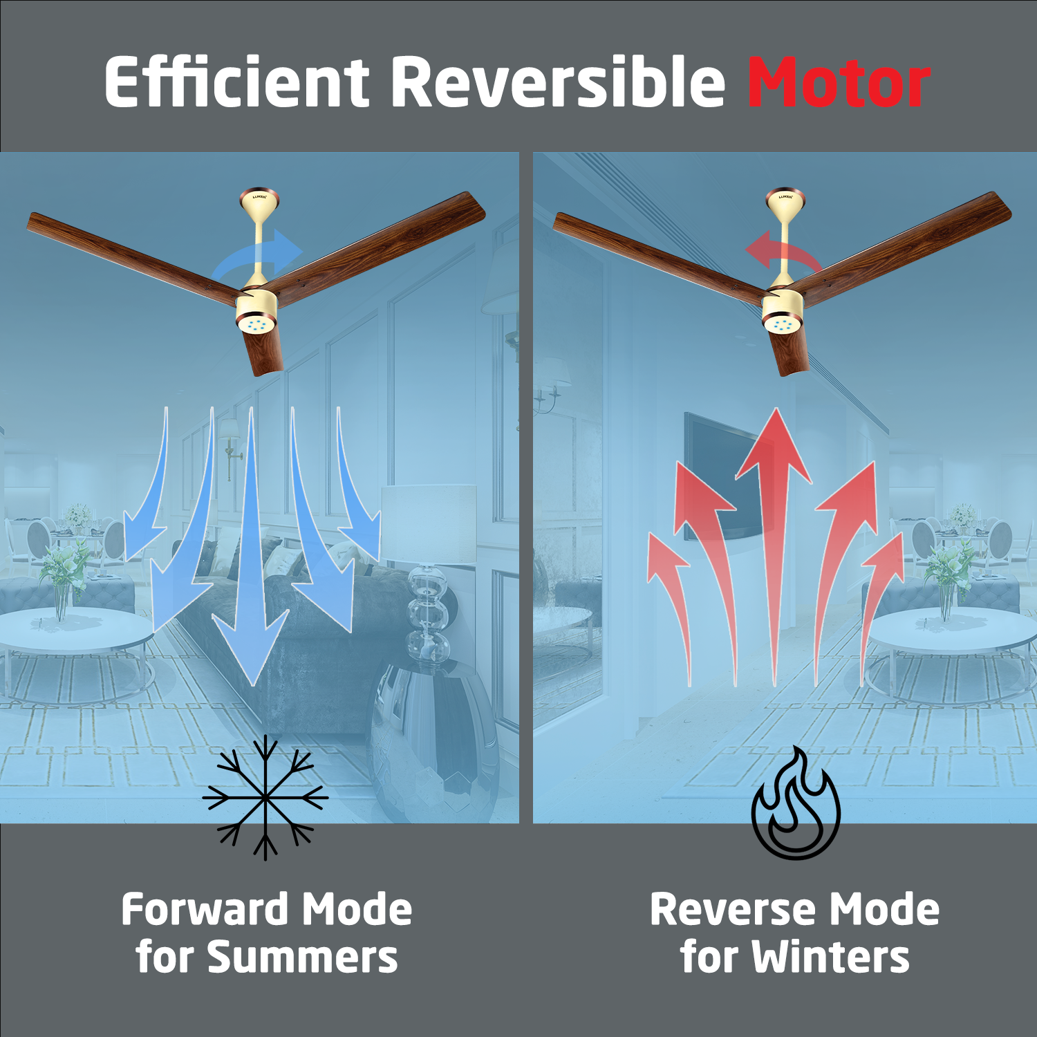 Size Zero Crown Wood BLDC Fan with IR Remote | 3-Year Warranty | 1200 mm | White Teakwood White Copper Finish