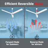 Size Zero Crown BLDC Fan with IR Remote | 3-Year Warranty | 1200 mm | White White White Chrome Finish