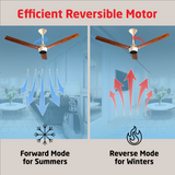 Radial Wood BLDC Ceiling Fan with IR Remote | 3-Year Warranty | 1200 mm