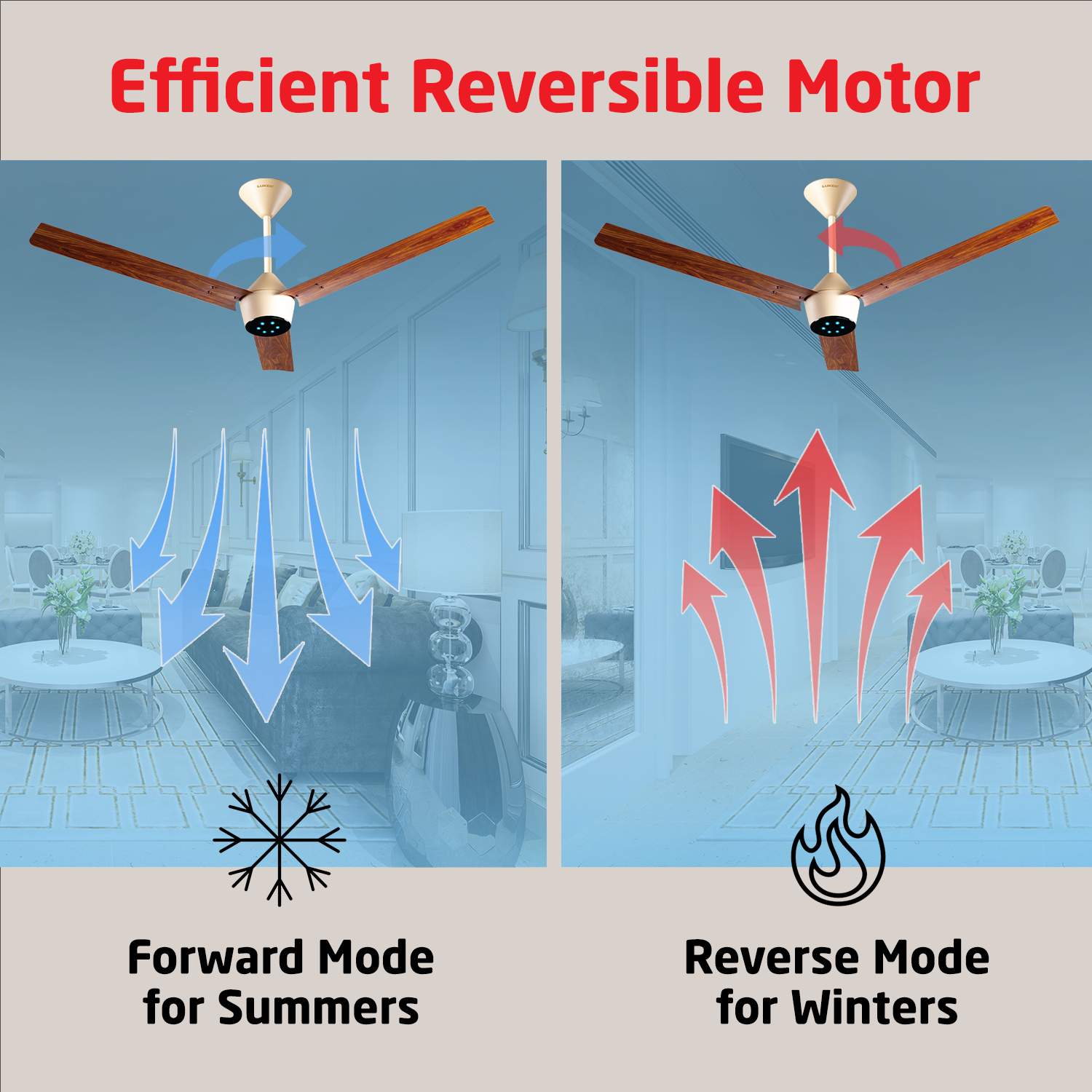 Radial Wood BLDC Ceiling Fan with IR Remote | 3-Year Warranty | 1200 mm