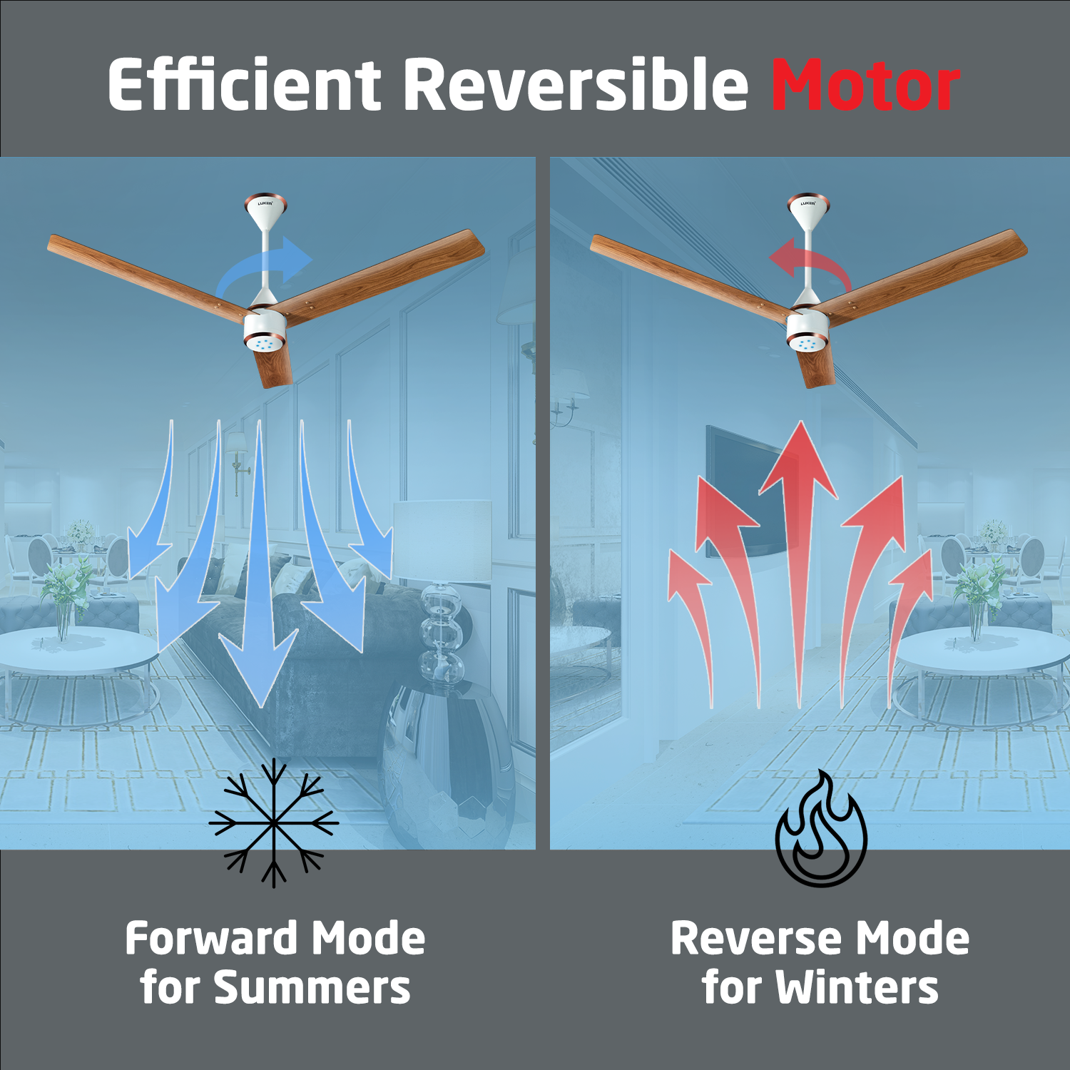 Size Zero Crown Wood BLDC Fan with IR Remote | 3-Year Warranty | 1200 mm | White Teakwood White Copper Finish