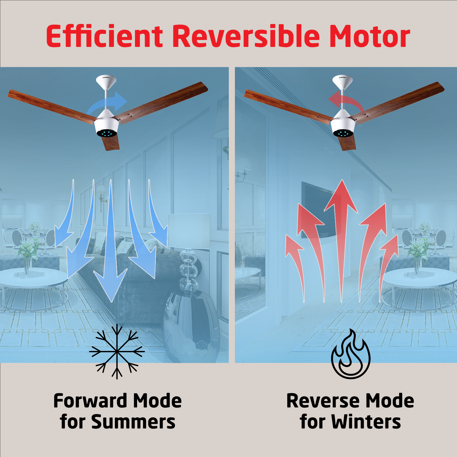 Radial Wood BLDC Ceiling Fan with IR Remote | 3-Year Warranty | 1200 mm