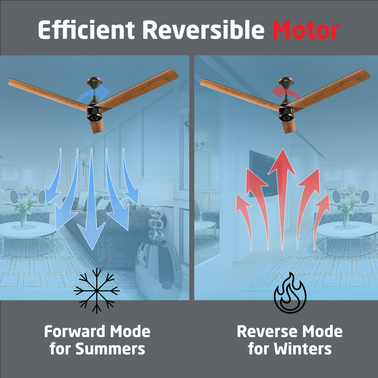 Size Zero Crown Wood BLDC Fan with IR Remote | 3-Year Warranty | 1200 mm | White Teakwood White Copper Finish