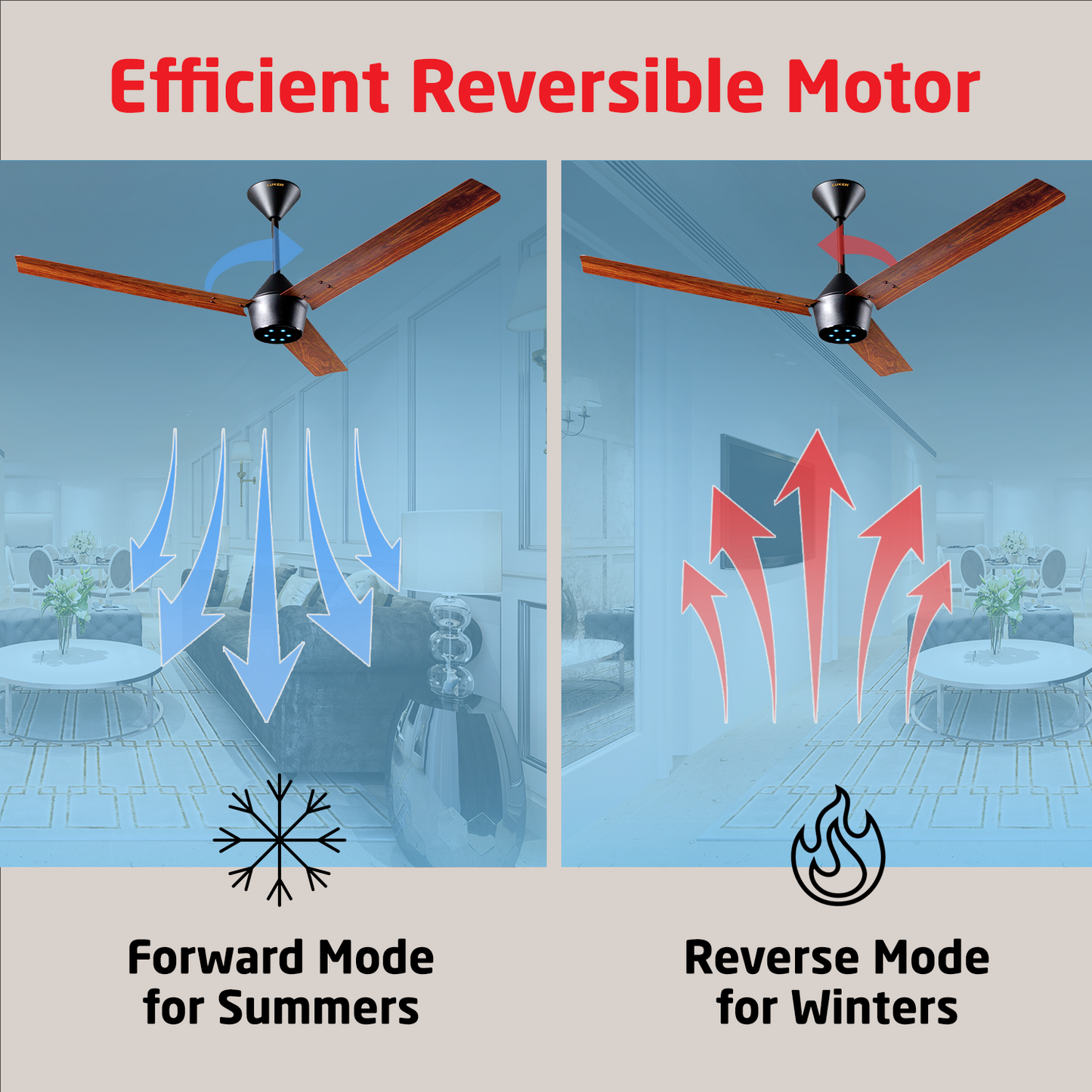 Radial Wood BLDC Ceiling Fan with IR Remote | 3-Year Warranty | 1200 mm