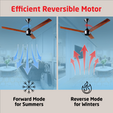 Radial Wood BLDC Ceiling Fan with IR Remote | 3-Year Warranty | 1200 mm