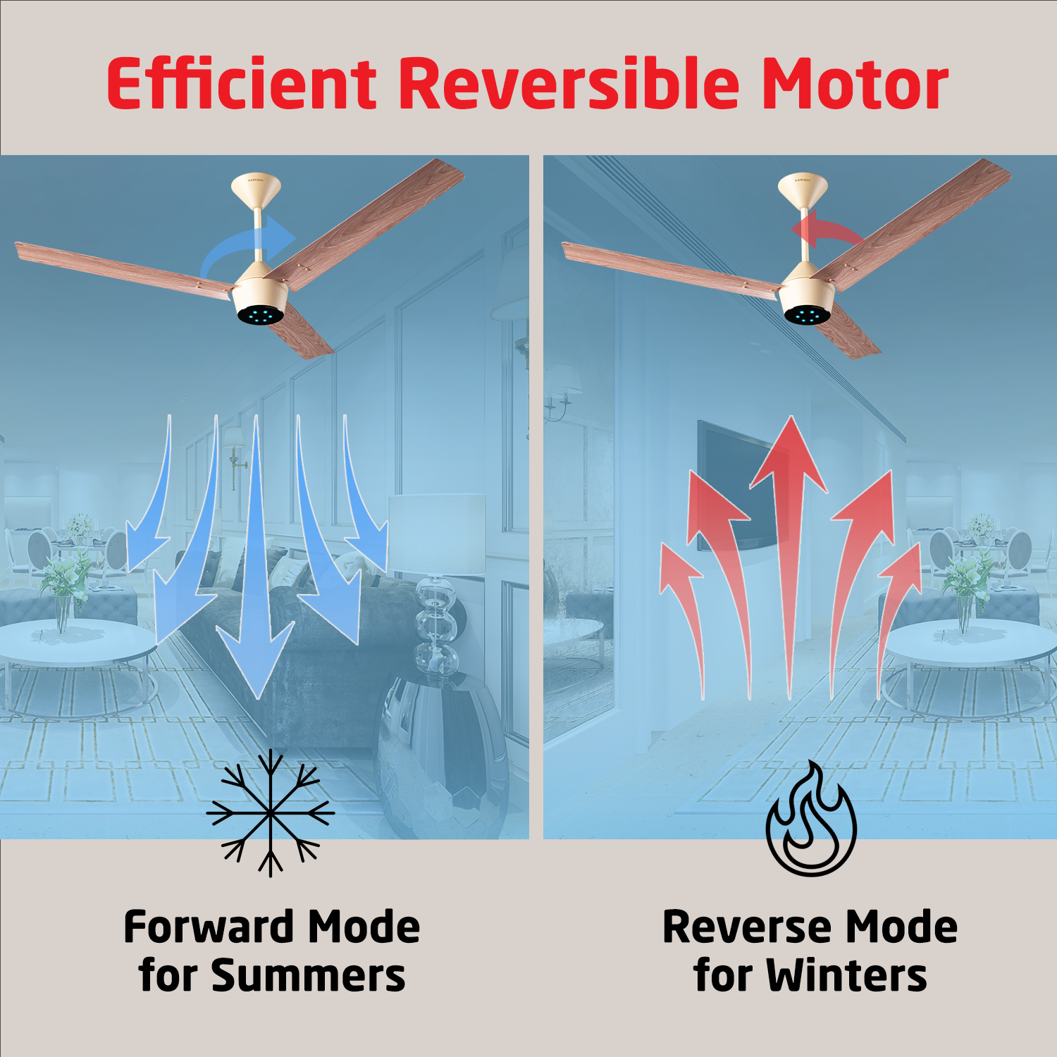Radial Wood BLDC Ceiling Fan with IR Remote | 3-Year Warranty | 1200 mm