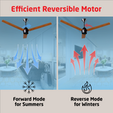 Radial Wood BLDC Ceiling Fan with IR Remote | 3-Year Warranty | 1200 mm