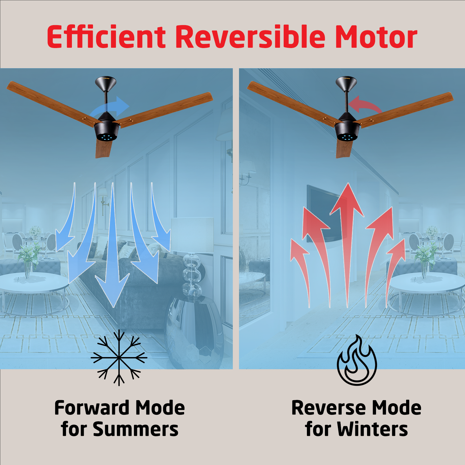 Radial Wood BLDC Ceiling Fan with IR Remote | 3-Year Warranty | 1200 mm