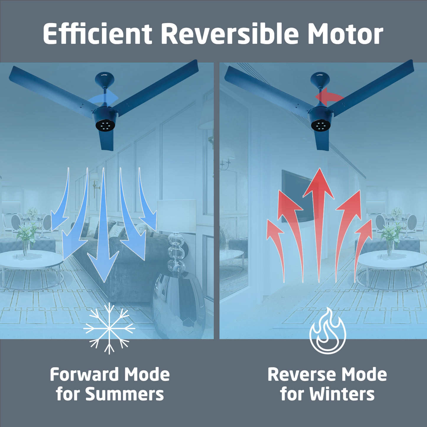 Radial BLDC Ceiling Fan with IR Remote | 3-Year Warranty | 1200 mm