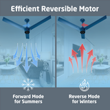 Radial BLDC Ceiling Fan with IR Remote | 3-Year Warranty | 1200 mm