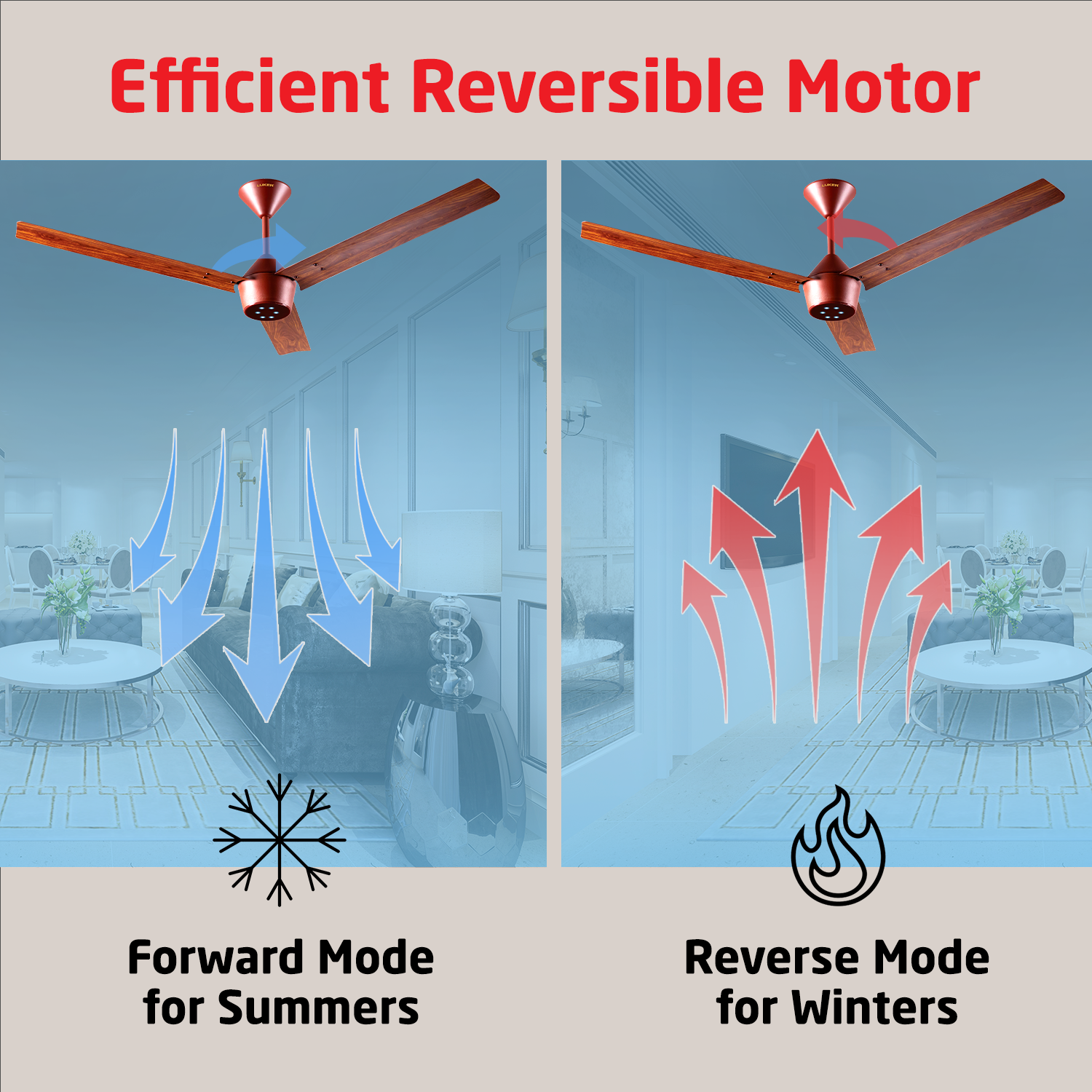Radial Wood BLDC Ceiling Fan with IR Remote | 3-Year Warranty | 1200 mm