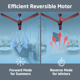 Radial BLDC Ceiling Fan with IR Remote | 3-Year Warranty | 1200 mm