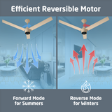 Radial BLDC Ceiling Fan with IR Remote | 3-Year Warranty | 1200 mm