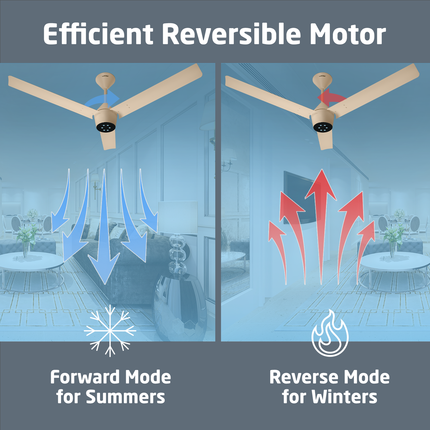 Radial BLDC Ceiling Fan with IR Remote | 3-Year Warranty | 1200 mm