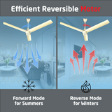 Size Zero Crown BLDC Fan with IR Remote | 3-Year Warranty | 1200 mm | White White White Chrome Finish