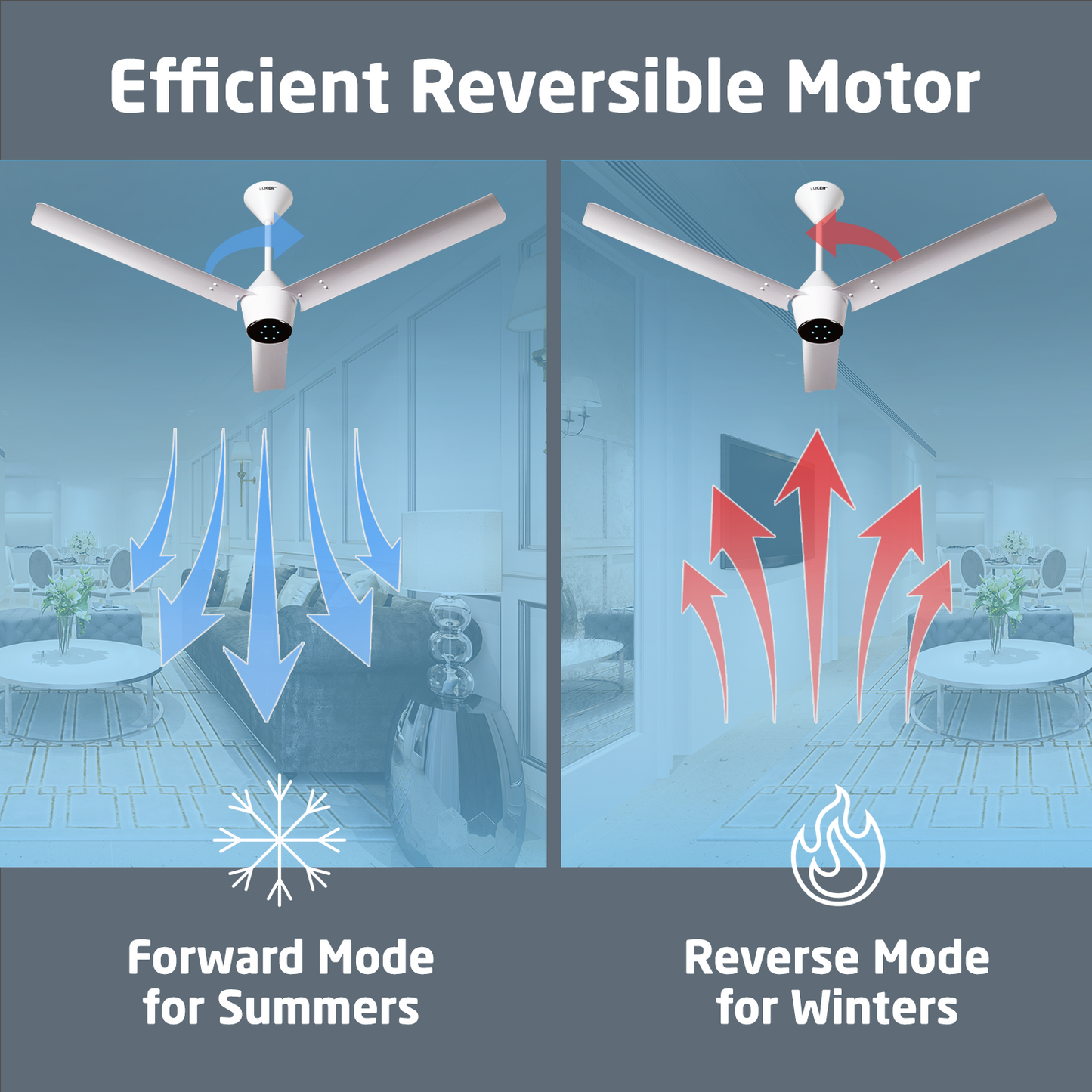 Radial BLDC Ceiling Fan with IR Remote | 3-Year Warranty | 1200 mm