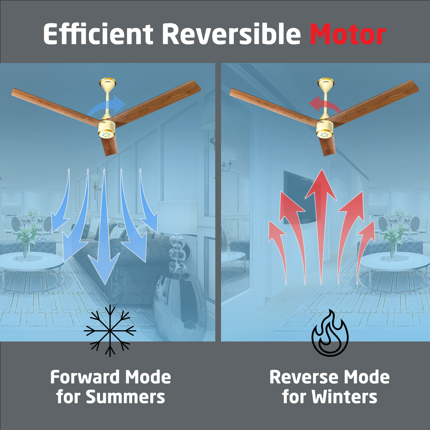 Size Zero Crown Wood BLDC Fan with IR Remote | 3-Year Warranty | 1200 mm | White Teakwood White Copper Finish