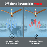 Size Zero Crown Wood BLDC Fan with IR Remote | 3-Year Warranty | 1200 mm | White Teakwood White Copper Finish