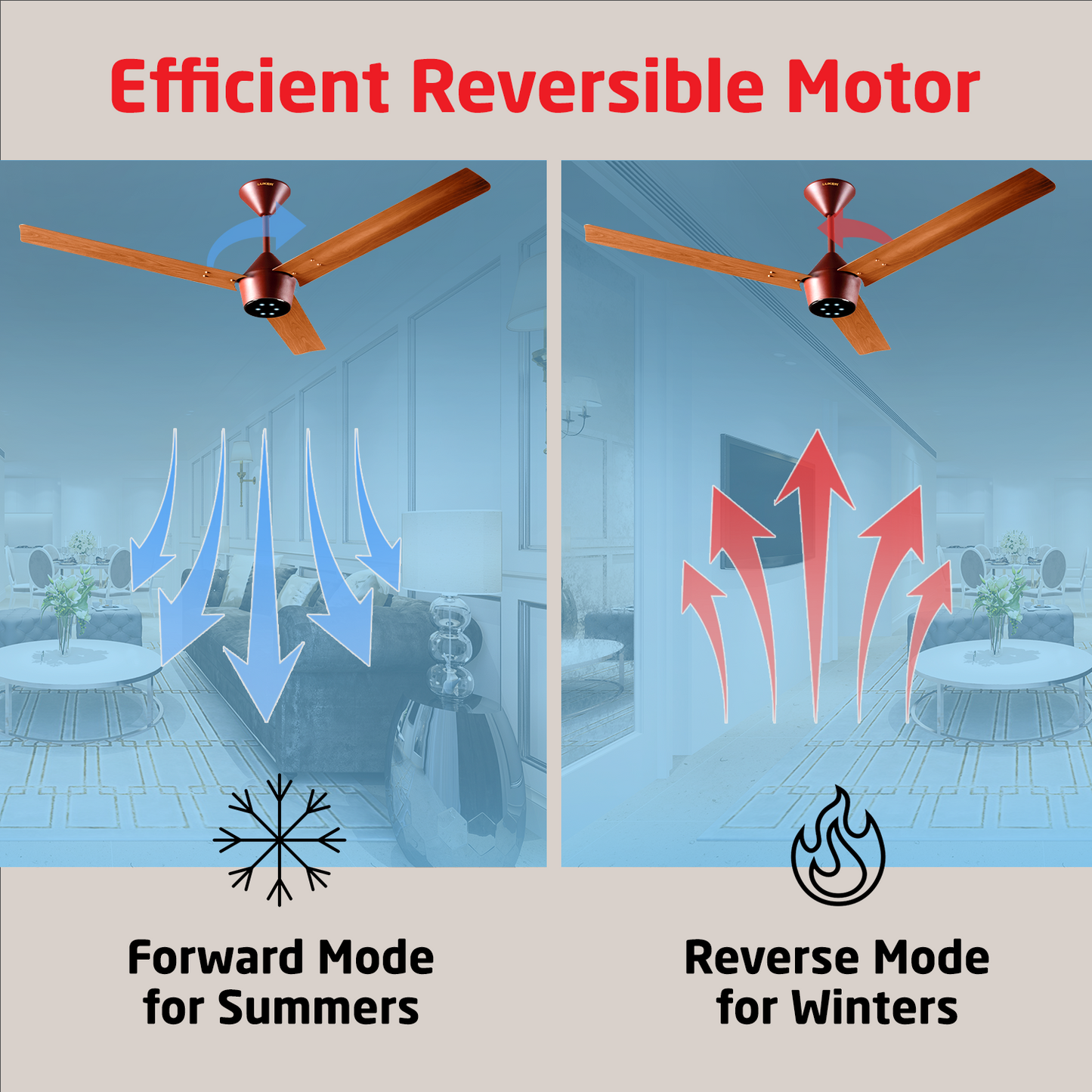 Radial Wood BLDC Ceiling Fan with IR Remote | 3-Year Warranty | 1200 mm