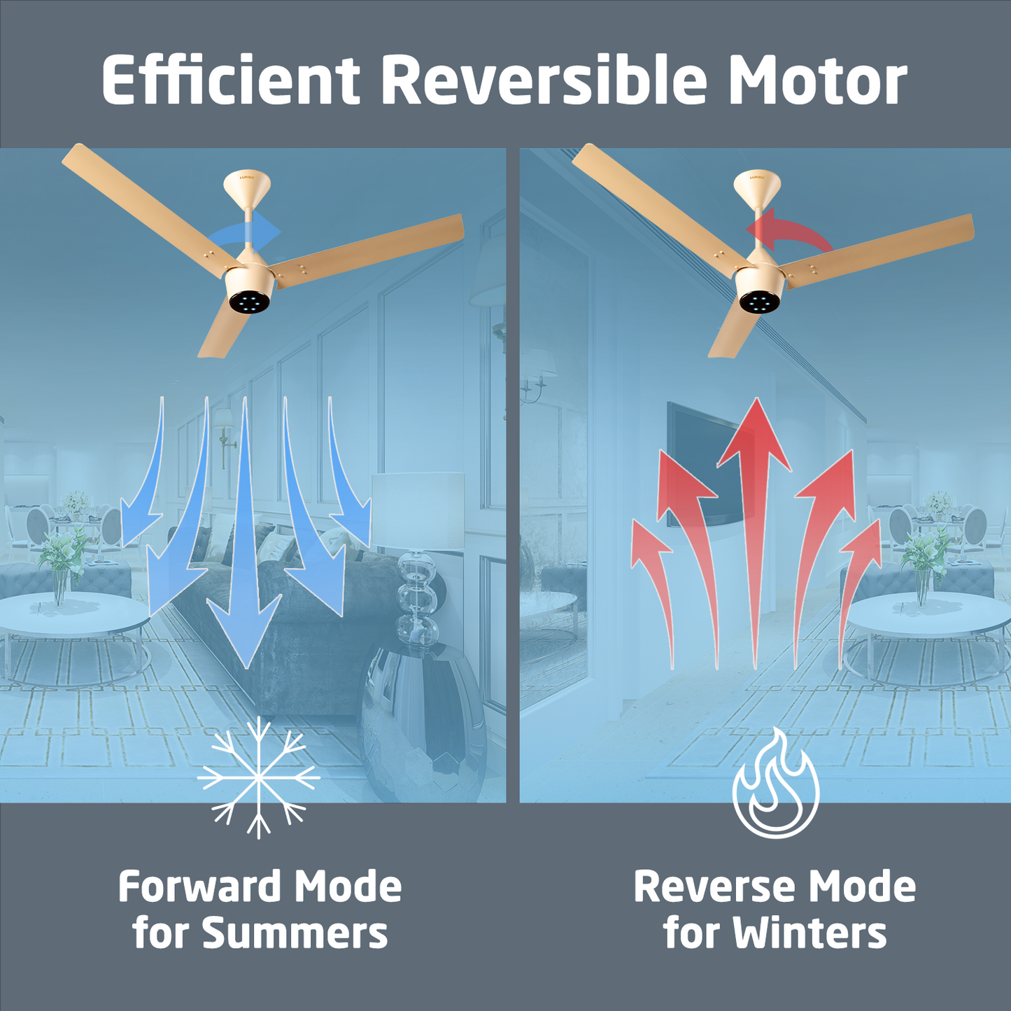 Radial BLDC Ceiling Fan with IR Remote | 3-Year Warranty | 1200 mm