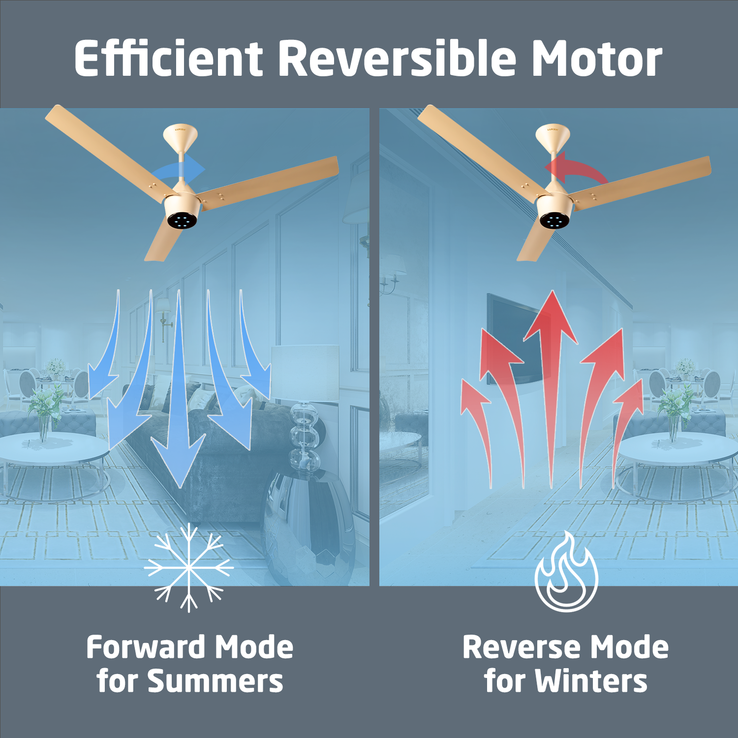 Radial BLDC Ceiling Fan with IR Remote | 3-Year Warranty | 1200 mm