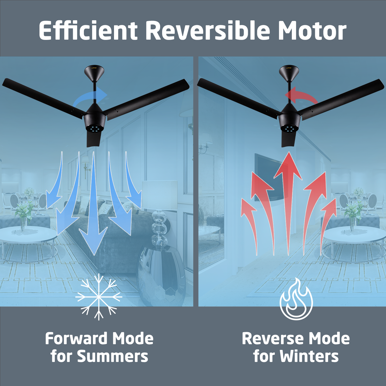 Radial BLDC Ceiling Fan with IR Remote | 3-Year Warranty | 1200 mm