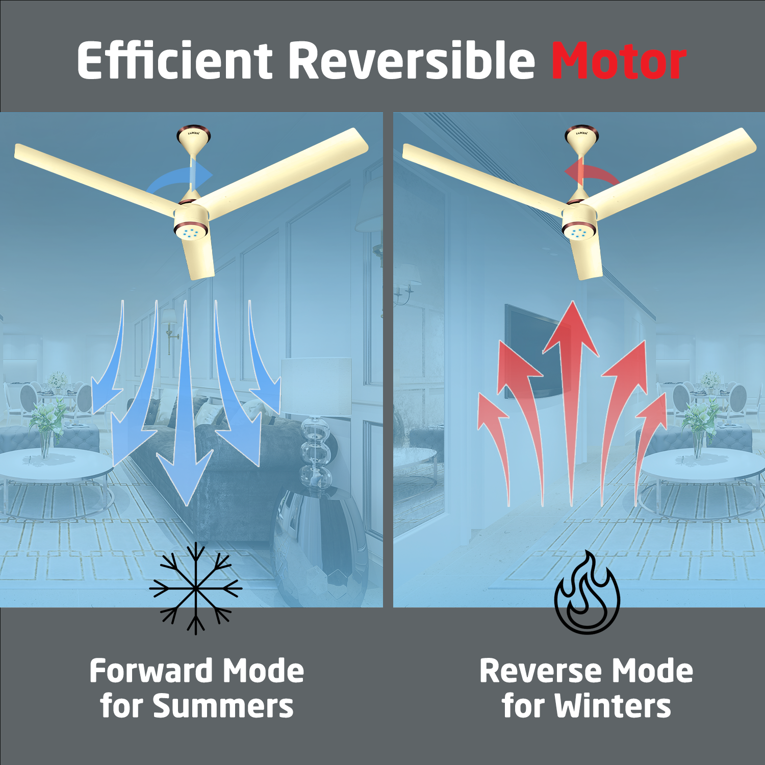 Size Zero Crown BLDC Fan with IR Remote | 3-Year Warranty | 1200 mm | White White White Chrome Finish