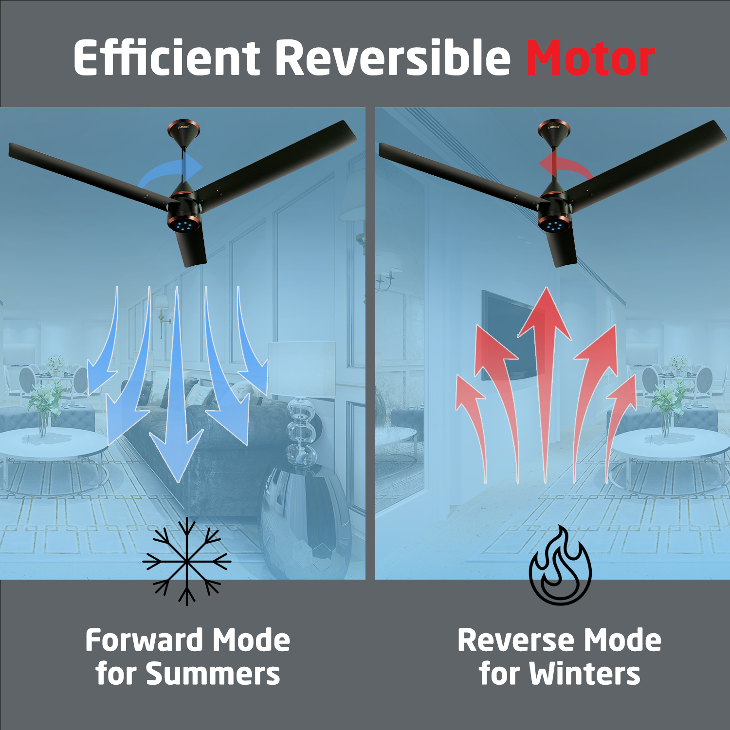 Size Zero Crown BLDC Fan with IR Remote | 3-Year Warranty | 1200 mm | White White White Chrome Finish