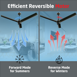 Size Zero Crown BLDC Fan with IR Remote | 3-Year Warranty | 1200 mm | White White White Chrome Finish