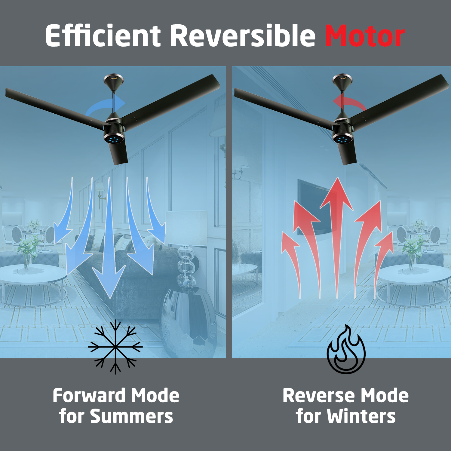 Size Zero Crown BLDC Fan with IR Remote | 3-Year Warranty | 1200 mm | White White White Chrome Finish