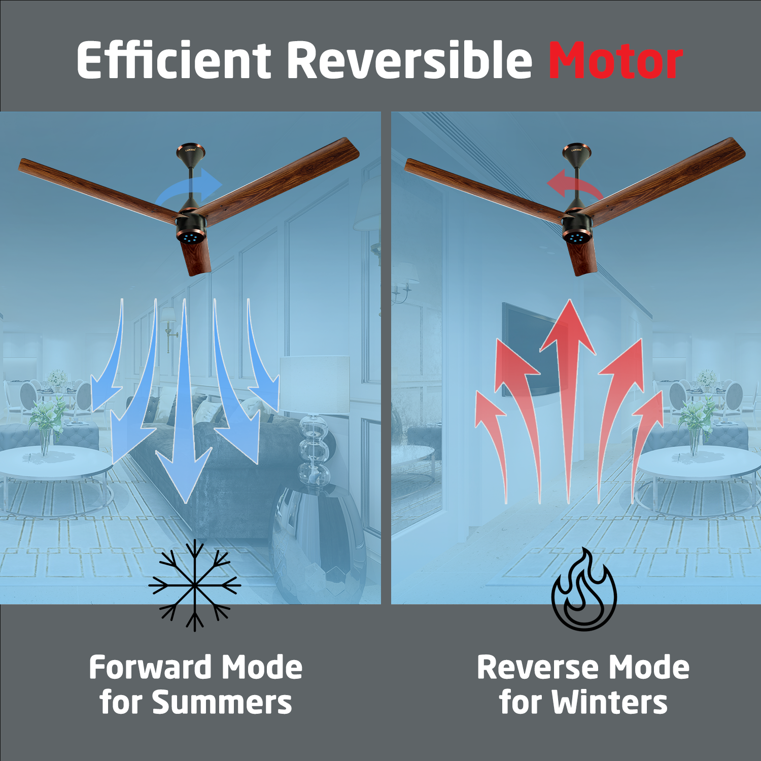 Size Zero Crown Wood BLDC Fan with IR Remote | 3-Year Warranty | 1200 mm | White Teakwood White Copper Finish