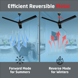 Size Zero Crown BLDC Fan with IR Remote | 3-Year Warranty | 1200 mm | White White White Chrome Finish