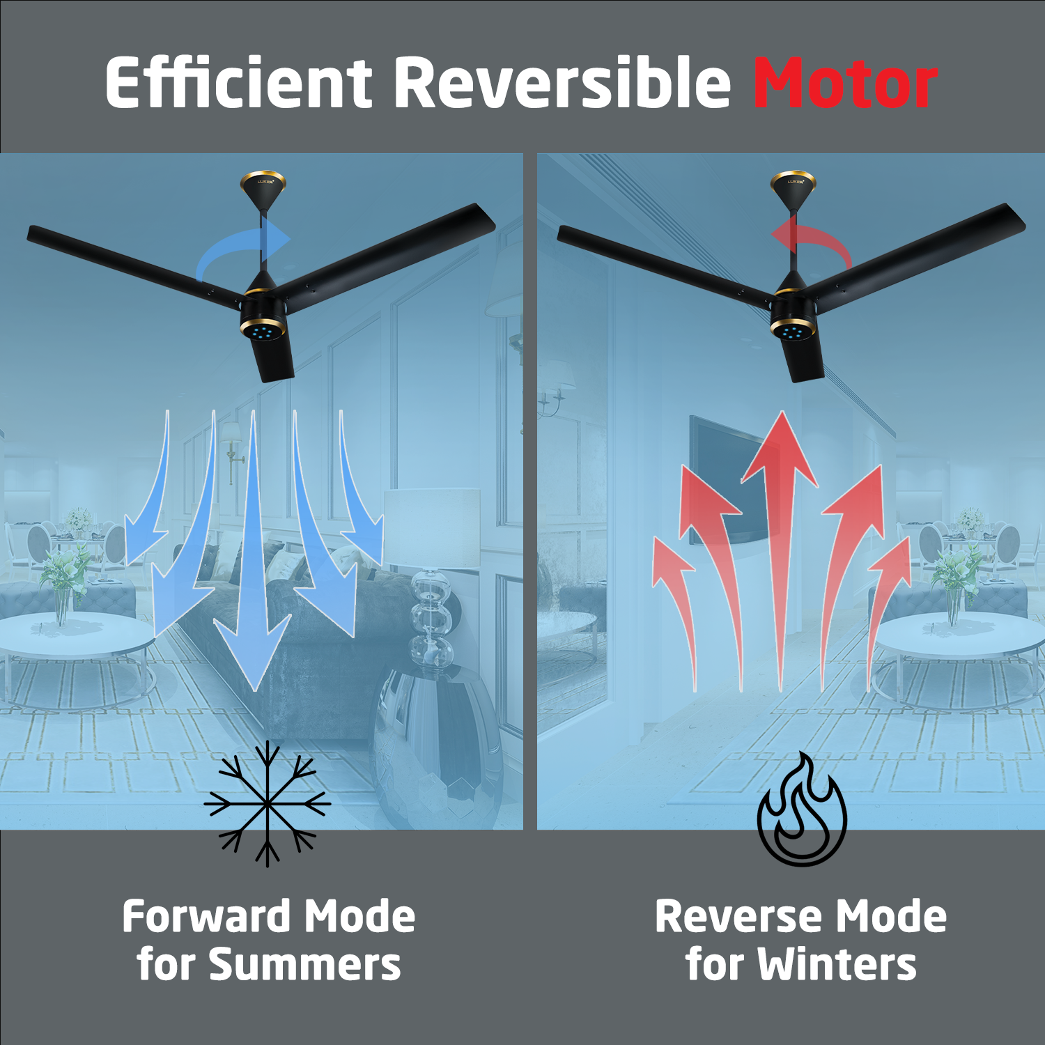 Size Zero Crown BLDC Fan with IR Remote | 3-Year Warranty | 1200 mm | White White White Chrome Finish