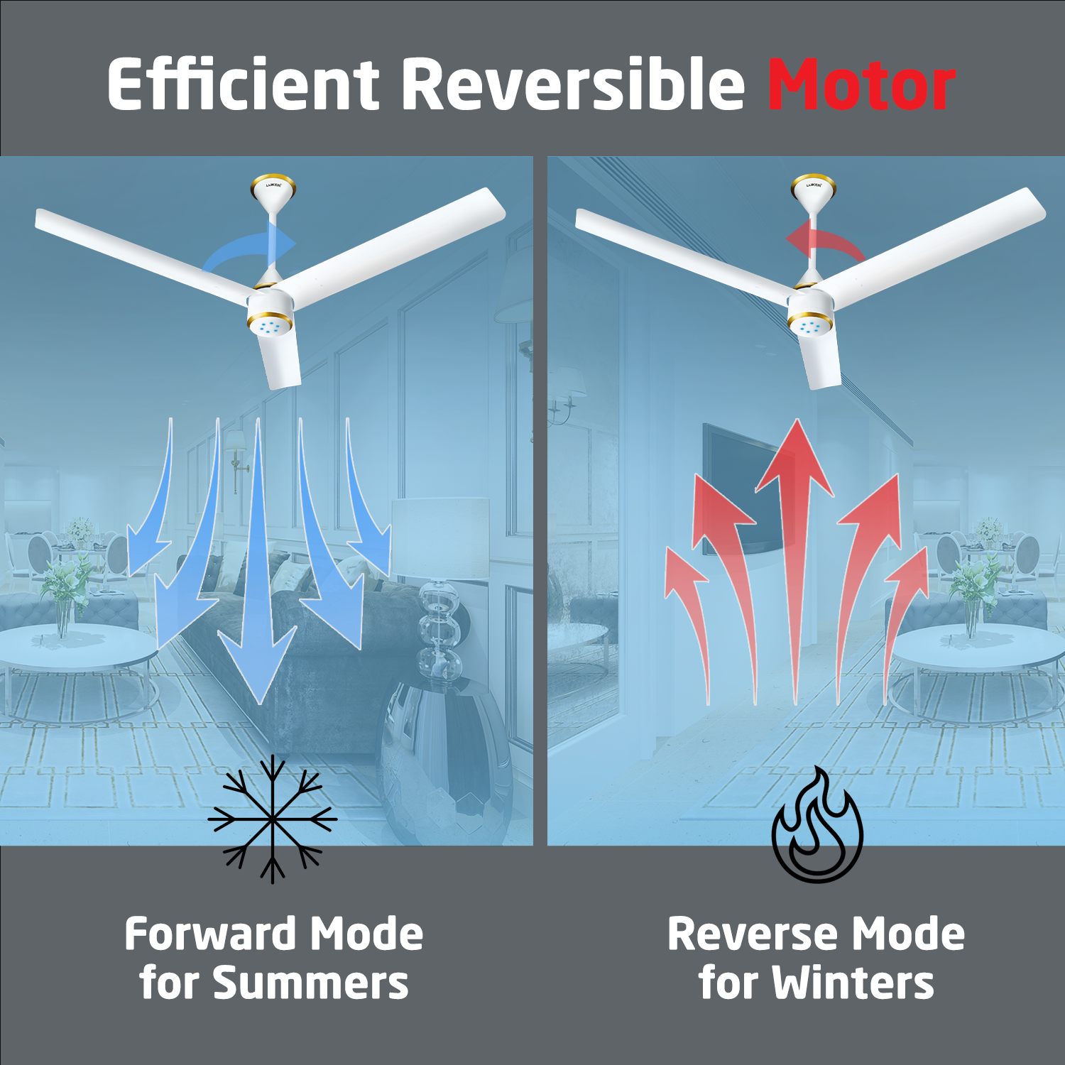 Size Zero Crown BLDC Fan with IR Remote | 3-Year Warranty | 1200 mm | White White White Chrome Finish