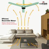 Size Alpha Cosmos BLDC Fan with IR Remote | 3-Year Warranty | 1200 mm