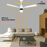 Size Alpha Galaxy BLDC Fan with IR Remote | 3-Year Warranty | 1320 mm