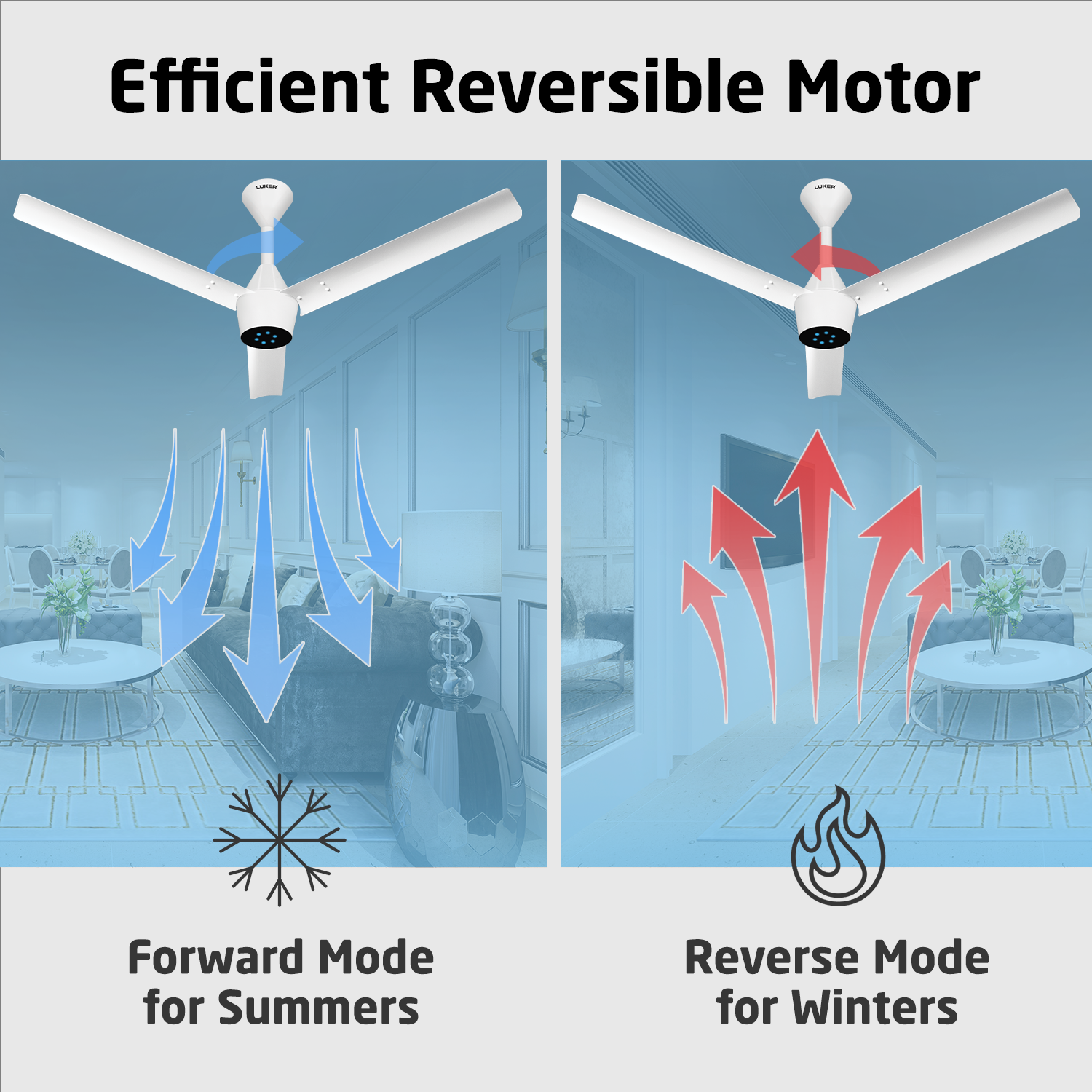 Radial Plus BLDC Ceiling Fan with IR Remote | 3-Year Warranty | 1200 mm