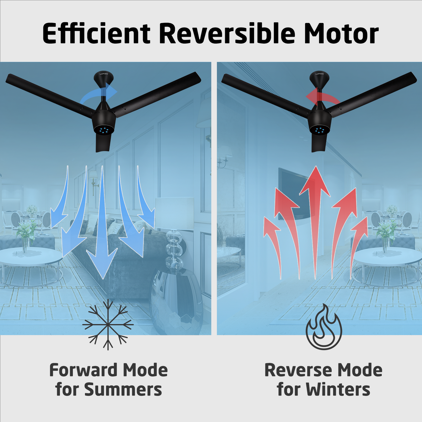 Radial Plus BLDC Ceiling Fan with IR Remote | 3-Year Warranty | 1200 mm