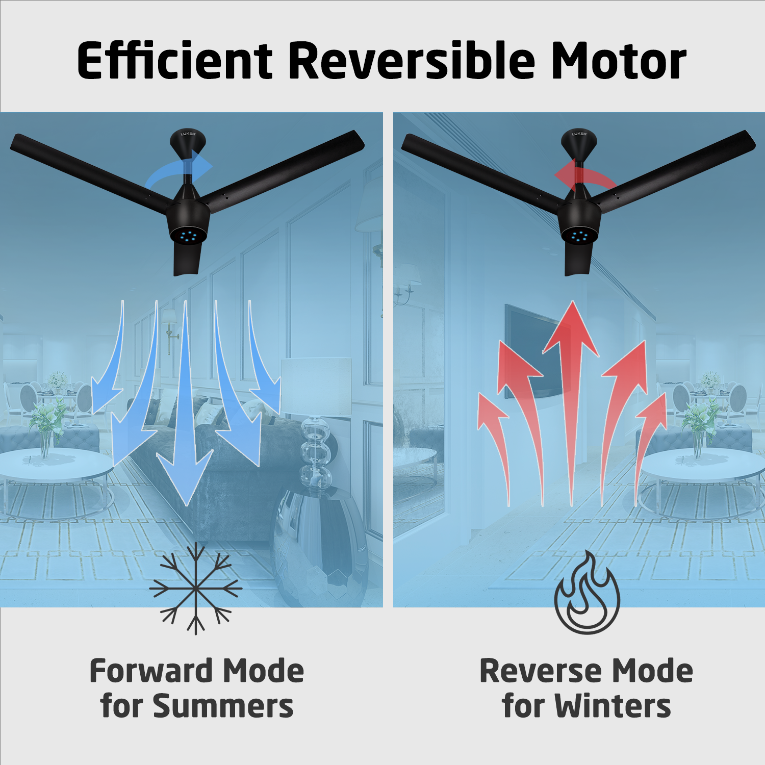 Radial Plus BLDC Ceiling Fan with IR Remote | 3-Year Warranty | 1200 mm